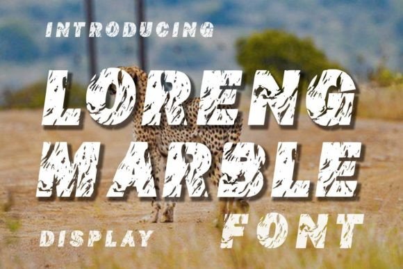 Loreng Marble Font Review for Creative Campaigns
