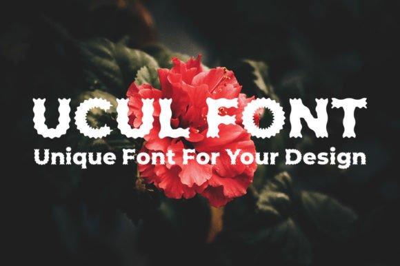 Ucul: A Dynamic Display Font for Scroll-Stopping Marketing Visuals